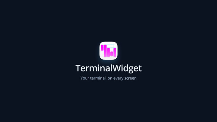 Terminal Widget demo video poster