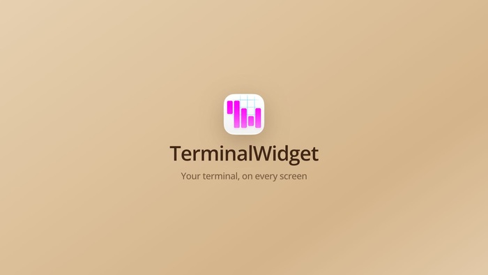 Terminal Widget demo video poster