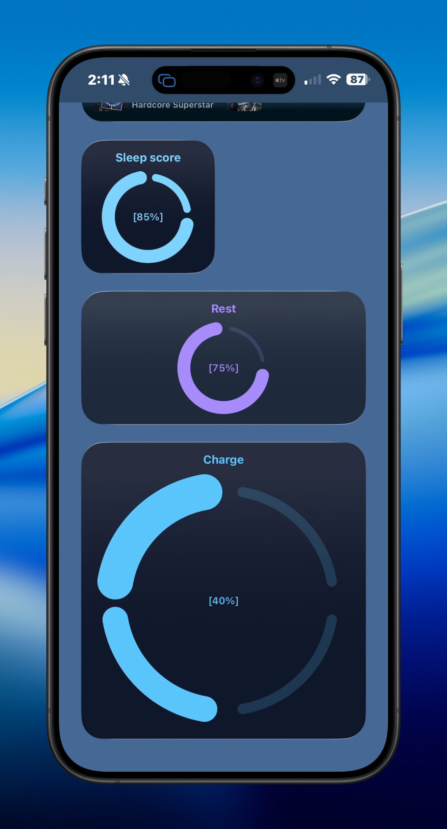 iPhone progress quadrant widget screenshot