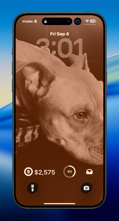 iPhone Lock Screen widgets screenshot