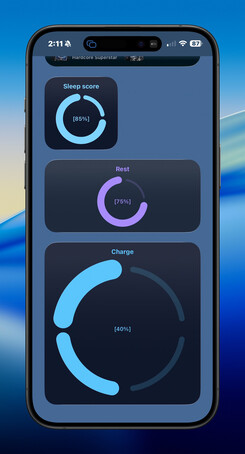 iPhone progress quadrant widget screenshot