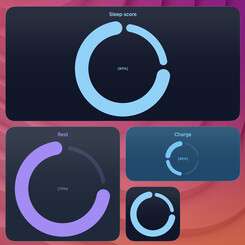 progress-quadrant widget screenshot
